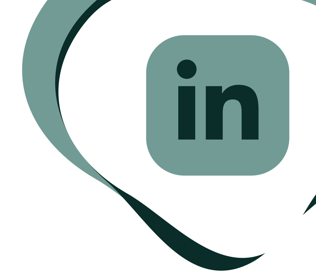 LinkedIn Profiel Scan