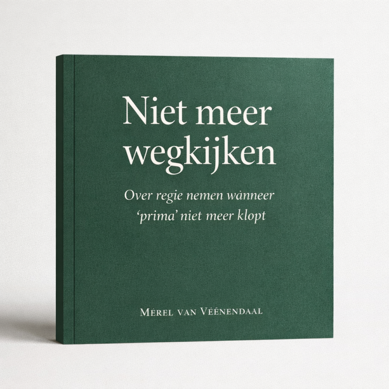 Niet meer wegkijken (eBook)