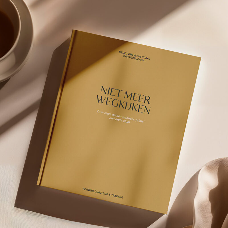 eBook "Niet meer wegkijken"